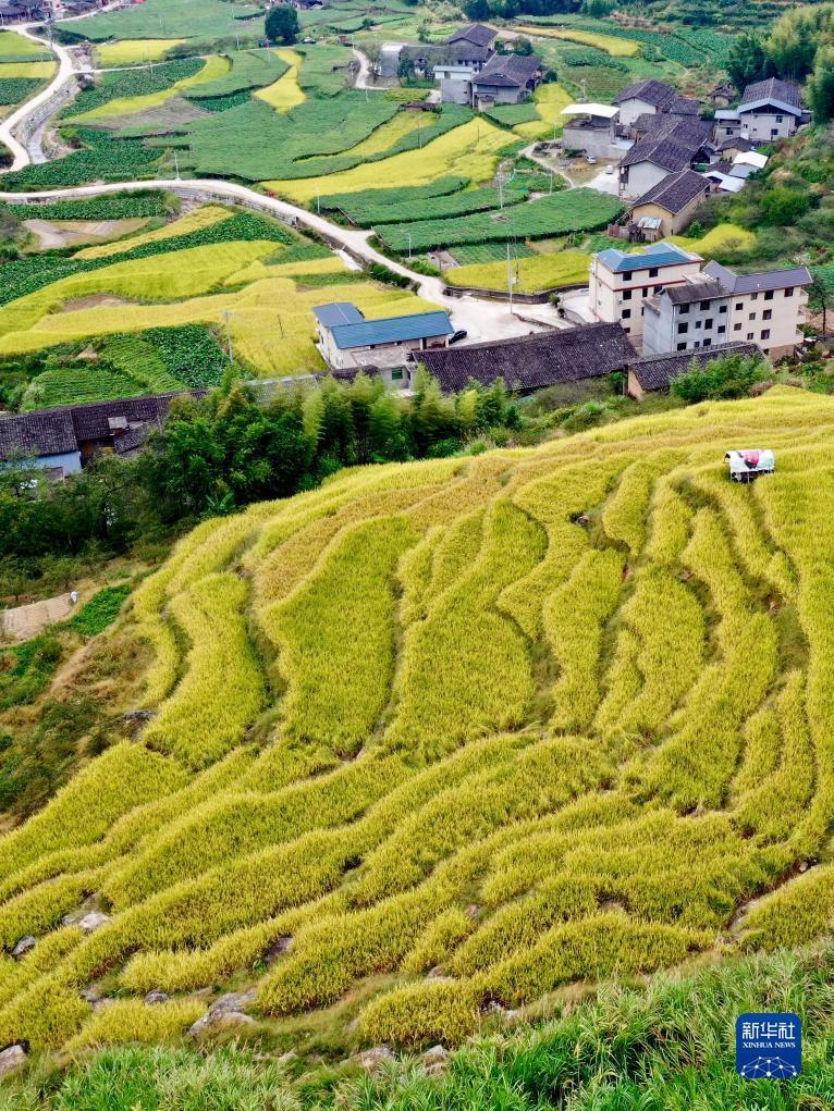 奥门白家乐